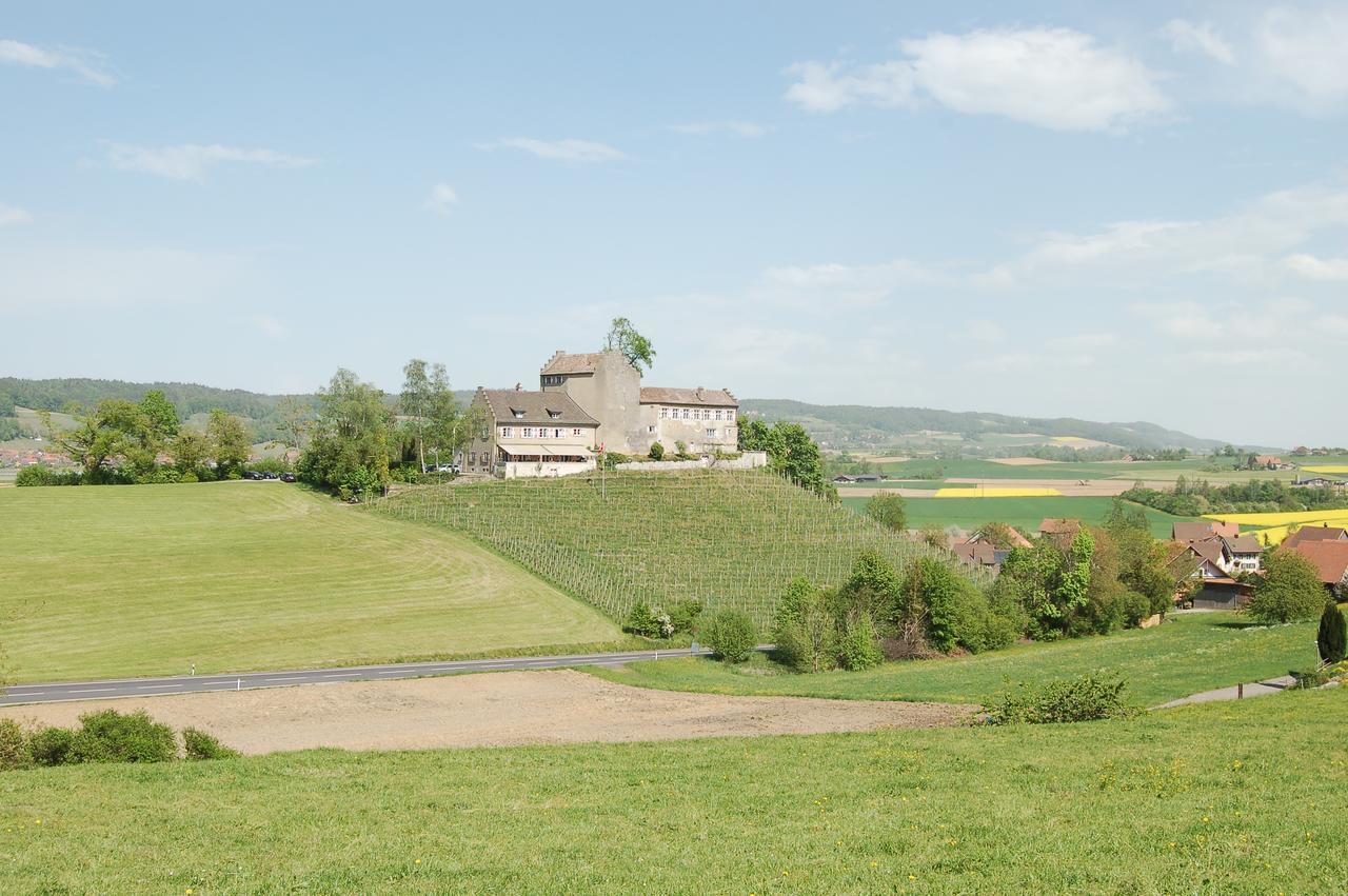 Hotel & Restaurant Schloss Schwandegg Oberstammheim Zewnętrze zdjęcie